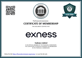 Understanding Exness Broker Type for Optimal Trading Success