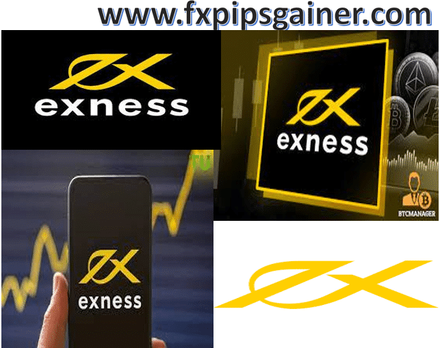 Understanding Exness Broker Type for Optimal Trading Success